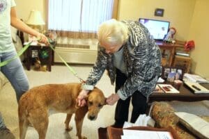 Fun day, Joan strokes Tucker's ears