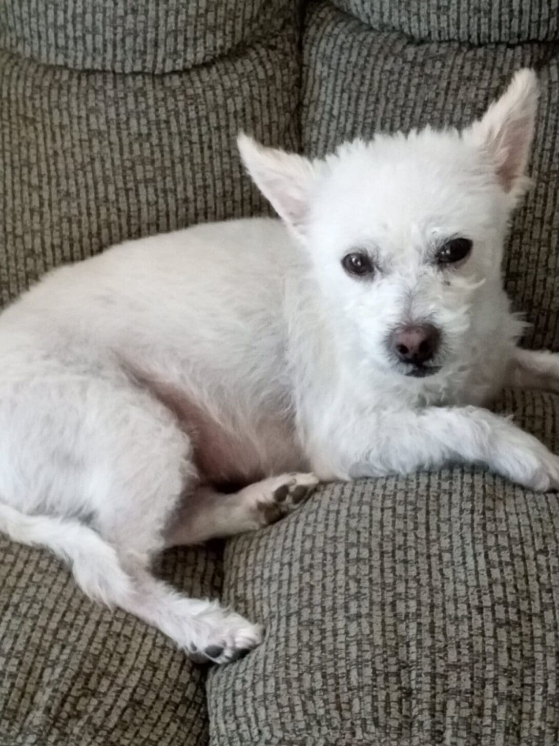 IMG_20230907_102940484_BURST000_COVER1