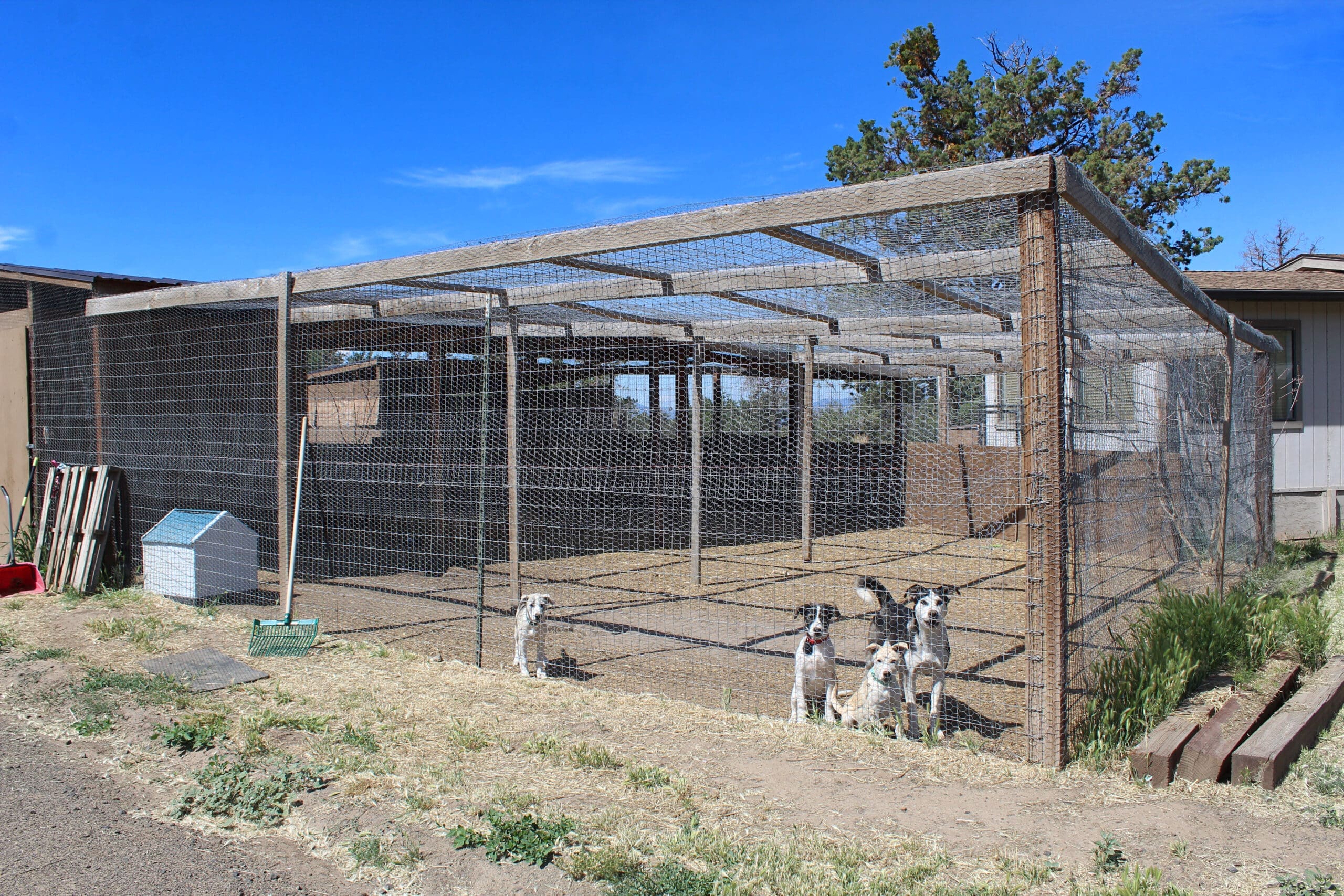 Repurposed chicken coop at Rescue Ranch Sanctuary in Big Springs