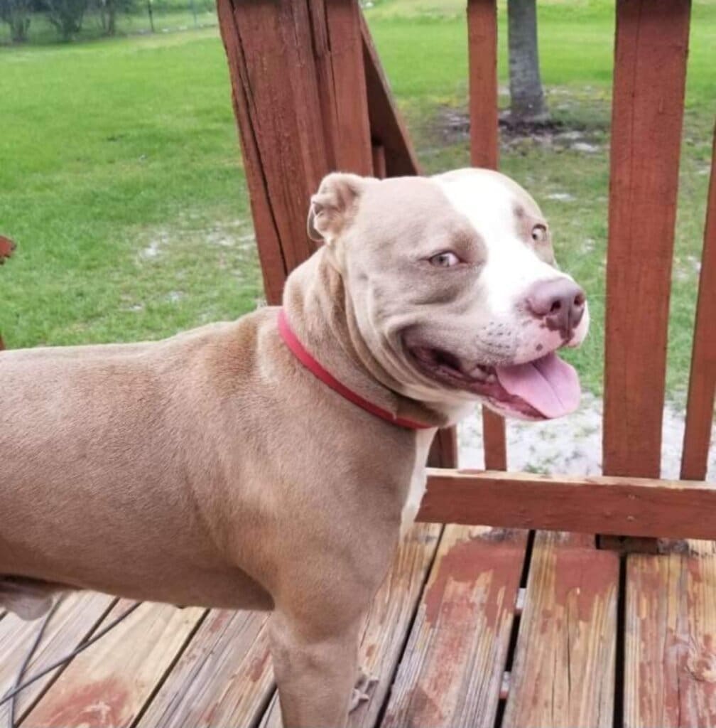 Screenshot_20230831_090050_Messenger