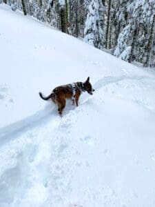 Larry on snowy hill trail