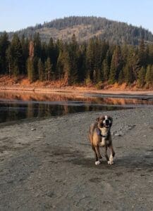 Larry running on beach toward camera