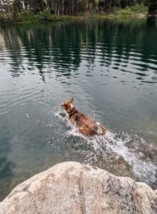 Larry who has just jumped in a lake