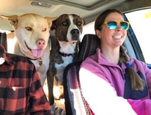 erfect matches_Wally and Larry peaking between car seats with Erin driving