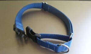 Safety first_Martingale collar with clip