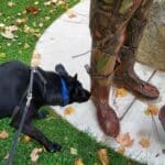 Safety first_Sophie wearing harness and Martingale collar in park deciding if statue is real