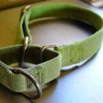 Safety first_clipless Martingale collar