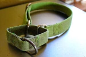 Safety first_clipless Martingale collar