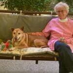 Older dog, Annie with adopter