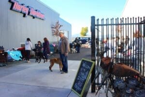 Howl-o-ween Pet Day, D & S ouside area between buildings