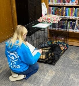 Puppies puppies puppies_Girl in blue hoodie reading to dog