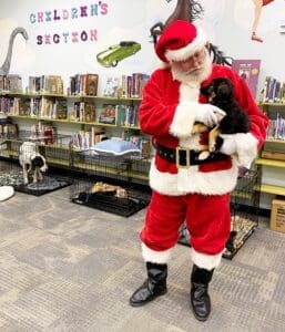 Puppies puppies puppies_Visiting Santa holding puppy