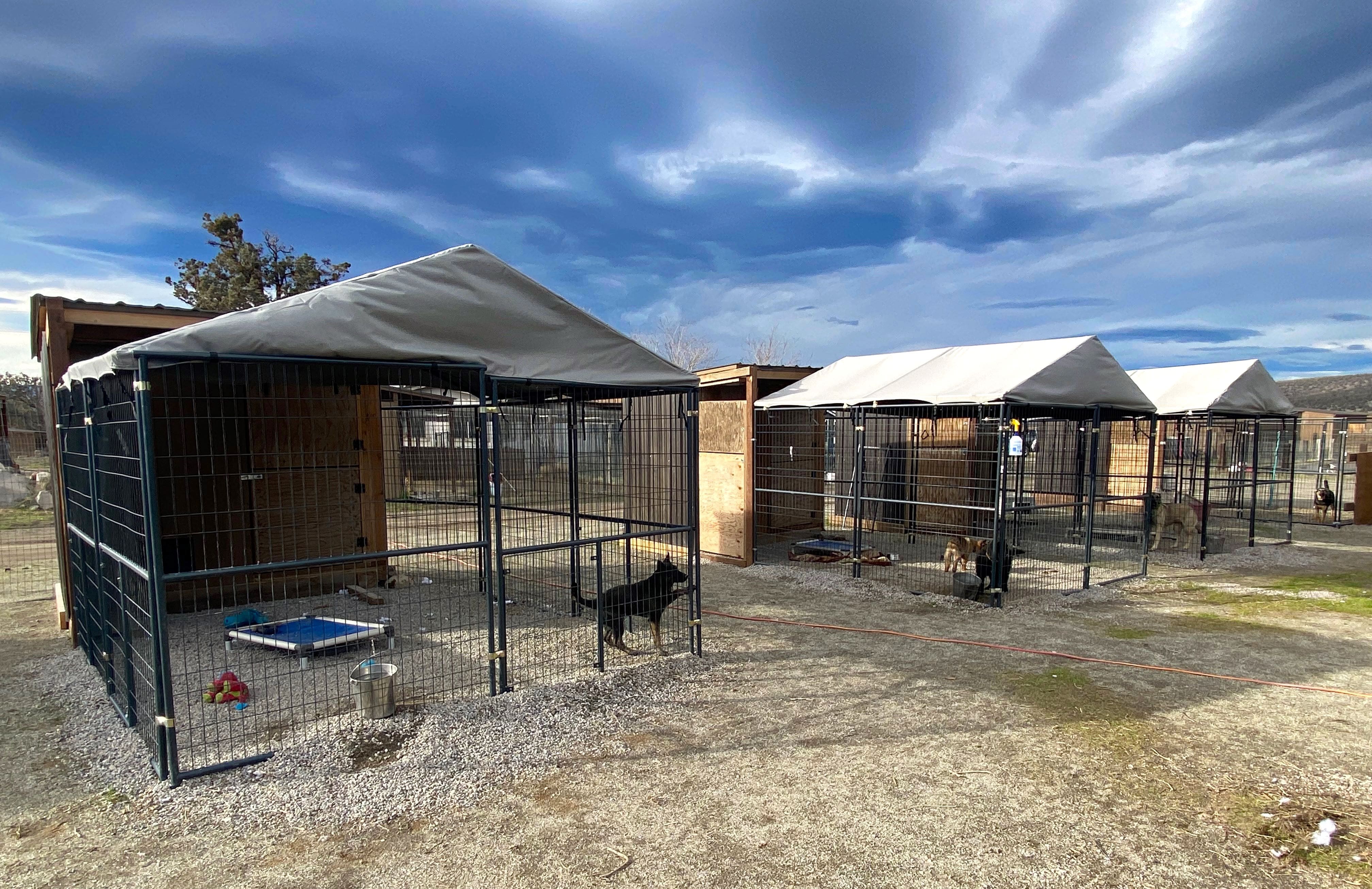 Rescue Ranch Sanctuary in Big Springs - Rescue Ranch Inc.