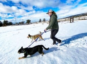 Sydney heading back with Mindy and Baxter on Leash