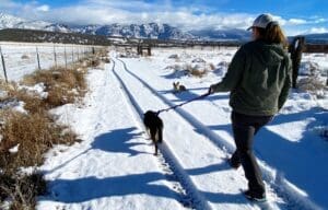 Sydney walking away with Mindy on Leash Baxter lying in snow