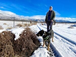 Sydney with Mindy on Leash sniffing tumbleweeds