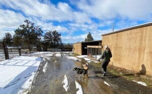 yndey with Mindy and Baxter returing to the yards