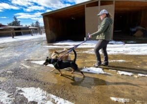 yndey with Mindy and Baxter returing to the yards