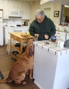 Dog Rescuers, Colette giving Woody treats in the kitchen