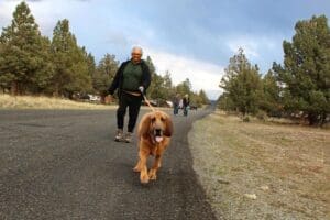 Dog Rescuers, Woody and Colette barreling towards