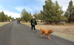 Dog Rescuers, Woody out on walk with the gang