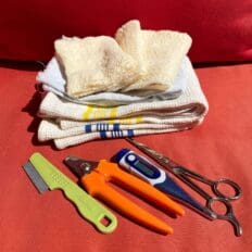 Pet care_supplies scissors)_nail clippers_flea comb_thermometer_clean rags 2