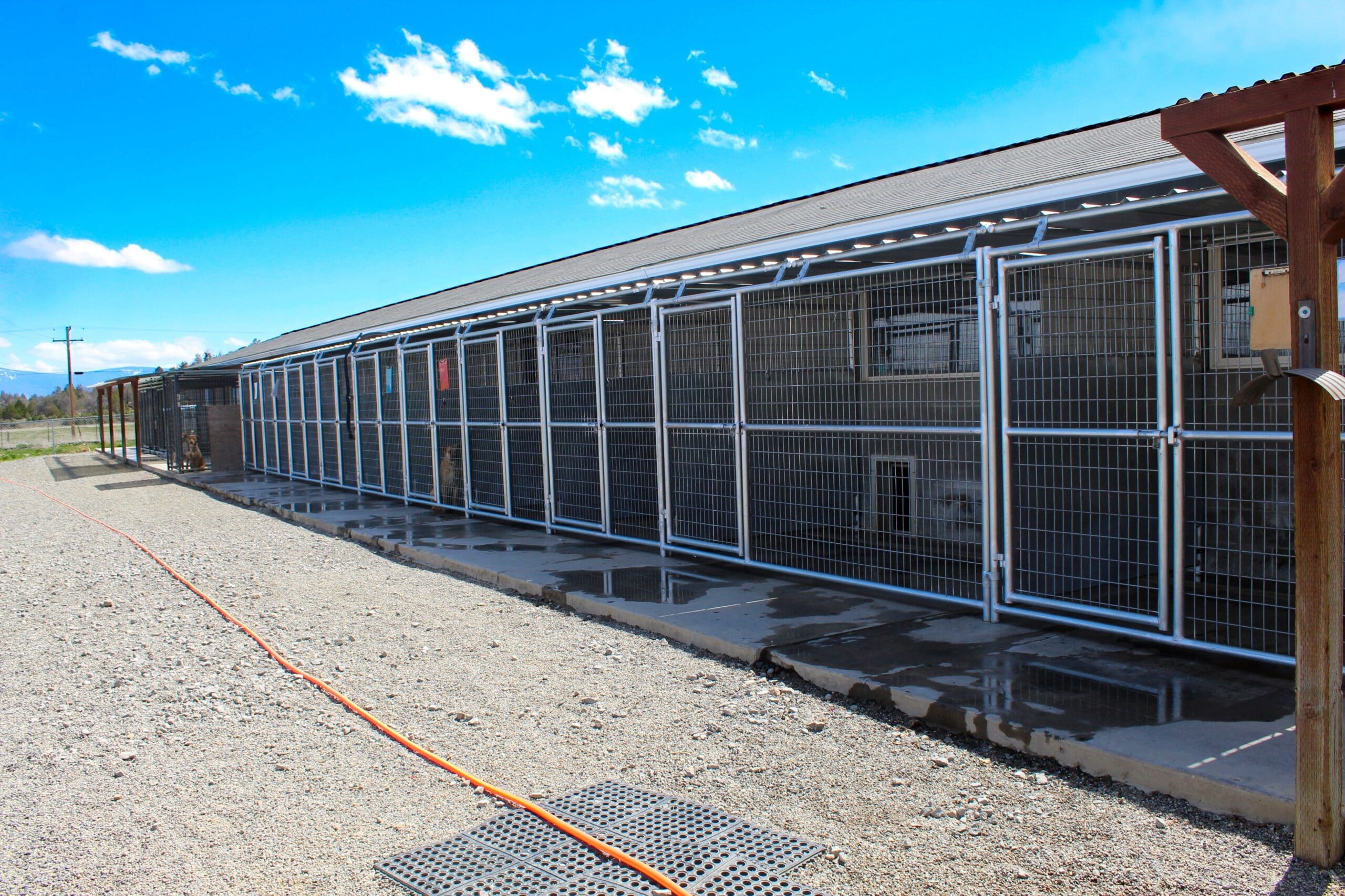 Rescue Ranch Adoption Center - Rescue Ranch Inc.