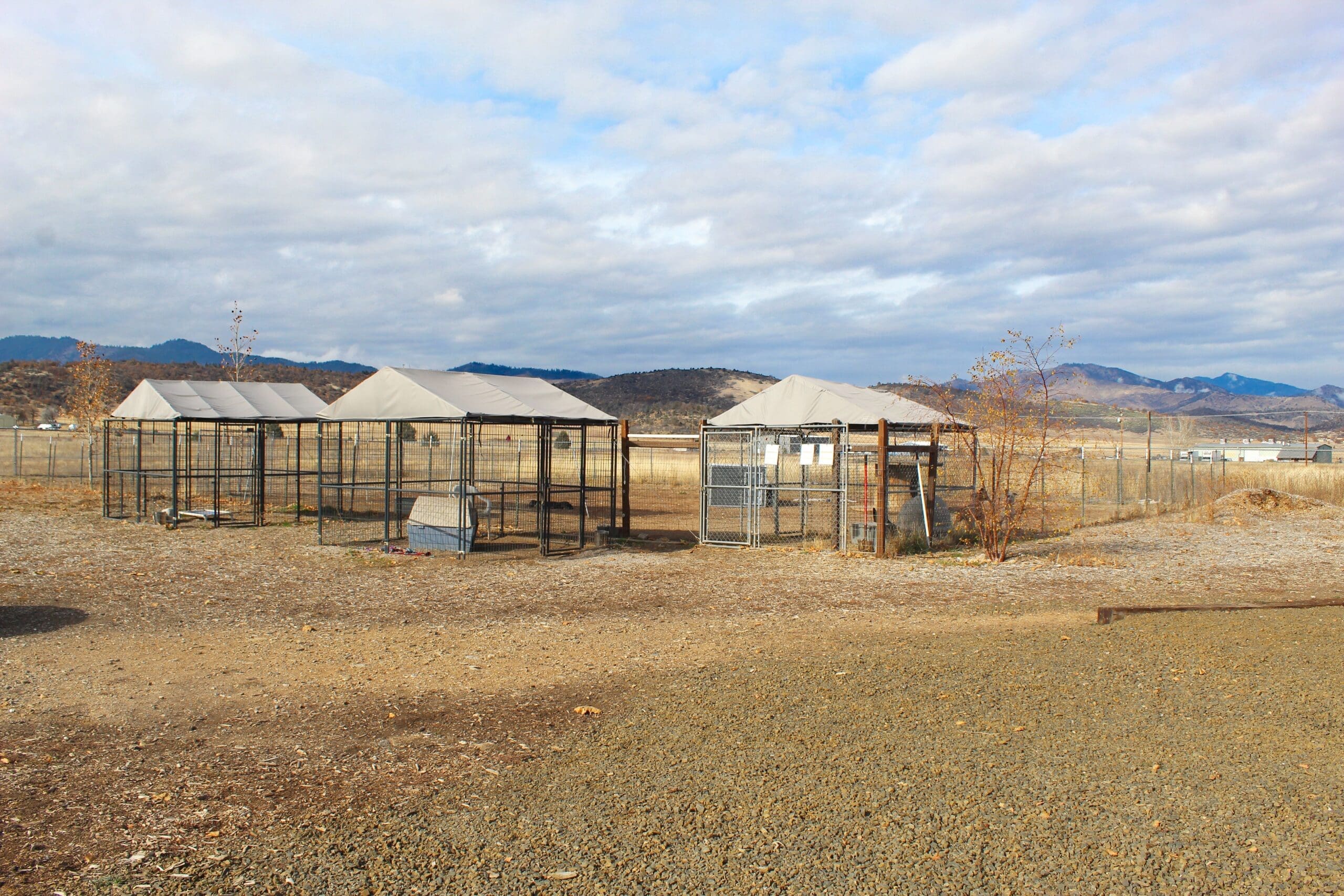 Rescue Ranch Adoption Center detached outdoor kennels next to play yard