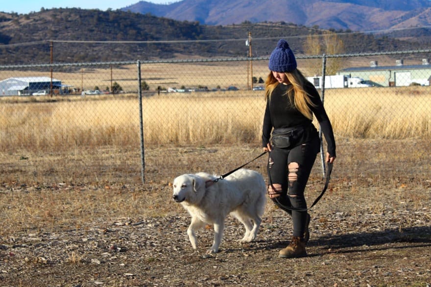 Rescue Ranch Adoption Center - Rescue Ranch Inc.