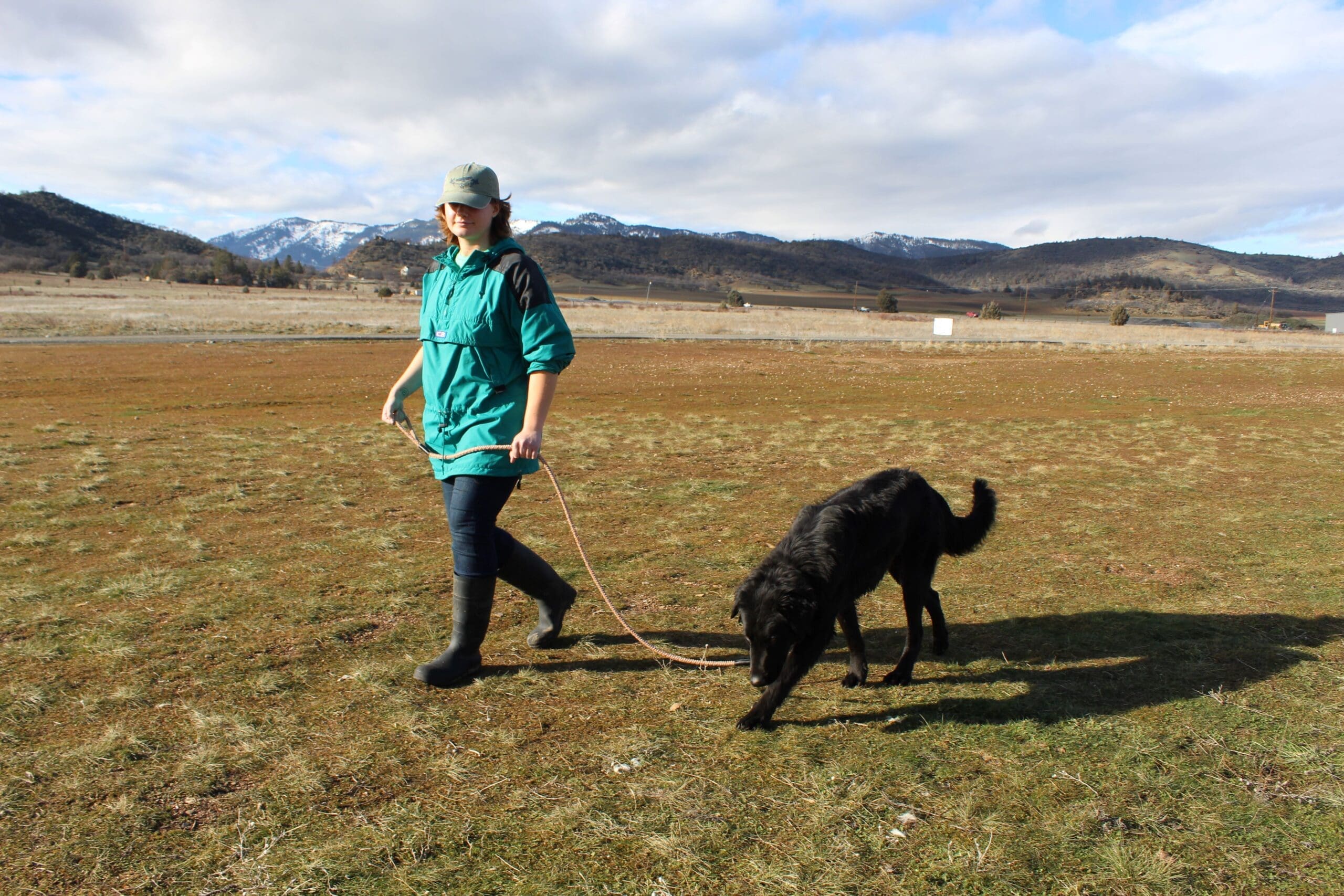 Adoption Center,staff walking dog