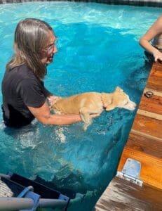 Puppy pool party, Laura helping puppy onto dock