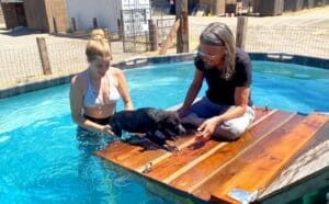 Puppy pool party, Jula and Laura helping puppy out of water