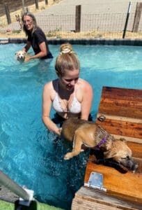 Puppy pool party, Jula helping puppy onto dock