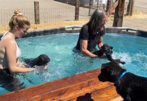 Puppy pool party, Jula and Laura helping puppies swimm