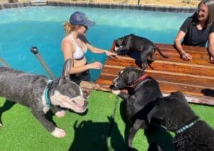 Puppy pool party, Jula and Laura supervising puppies