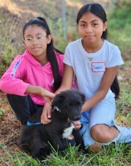 Weed_Training_Camp_Girls_Black_Puppy
