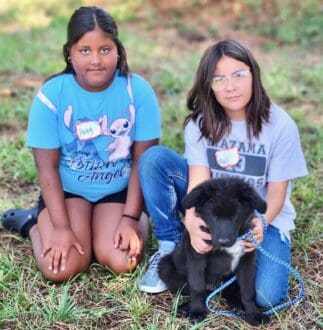 Weed_Training_Camp_Girls_Puppy