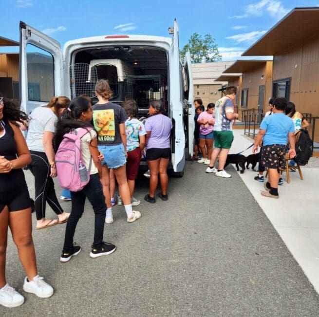 Weed_Training_Camp_Kids_By_Rescue_Ranch_Van