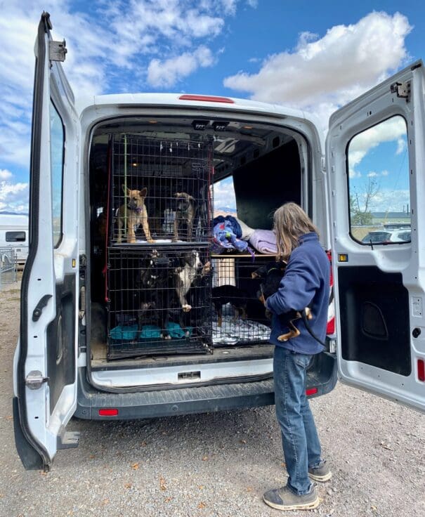 Laura_unloading_van_Puppypalooza