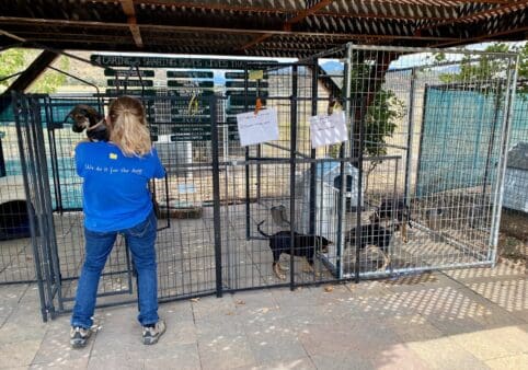 Staff_carries_puppy_Puppypalooza