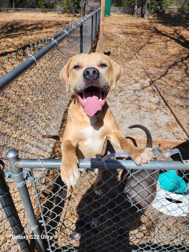 458668298_1612211326303234_790806259536990724_n1