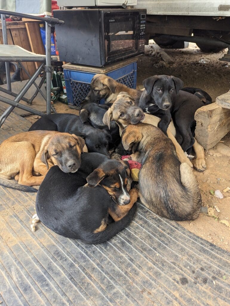 PXL_20240824_171046166.MP_