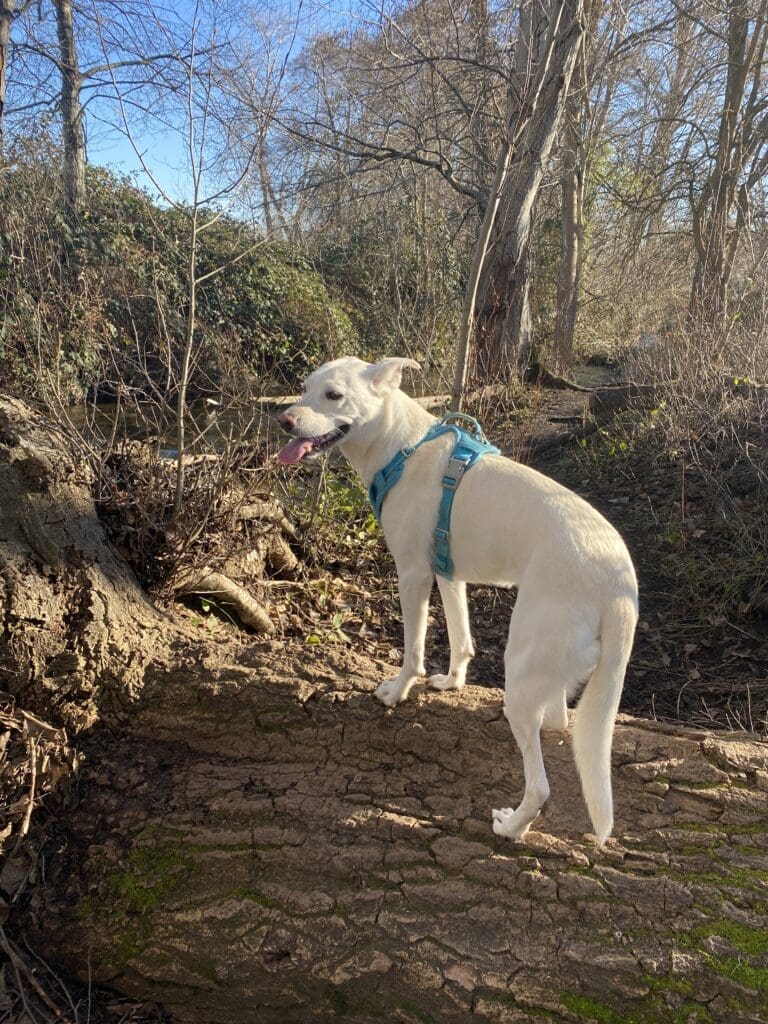 678C14E1-B2BB-4975-BB4E-206D032A07CF