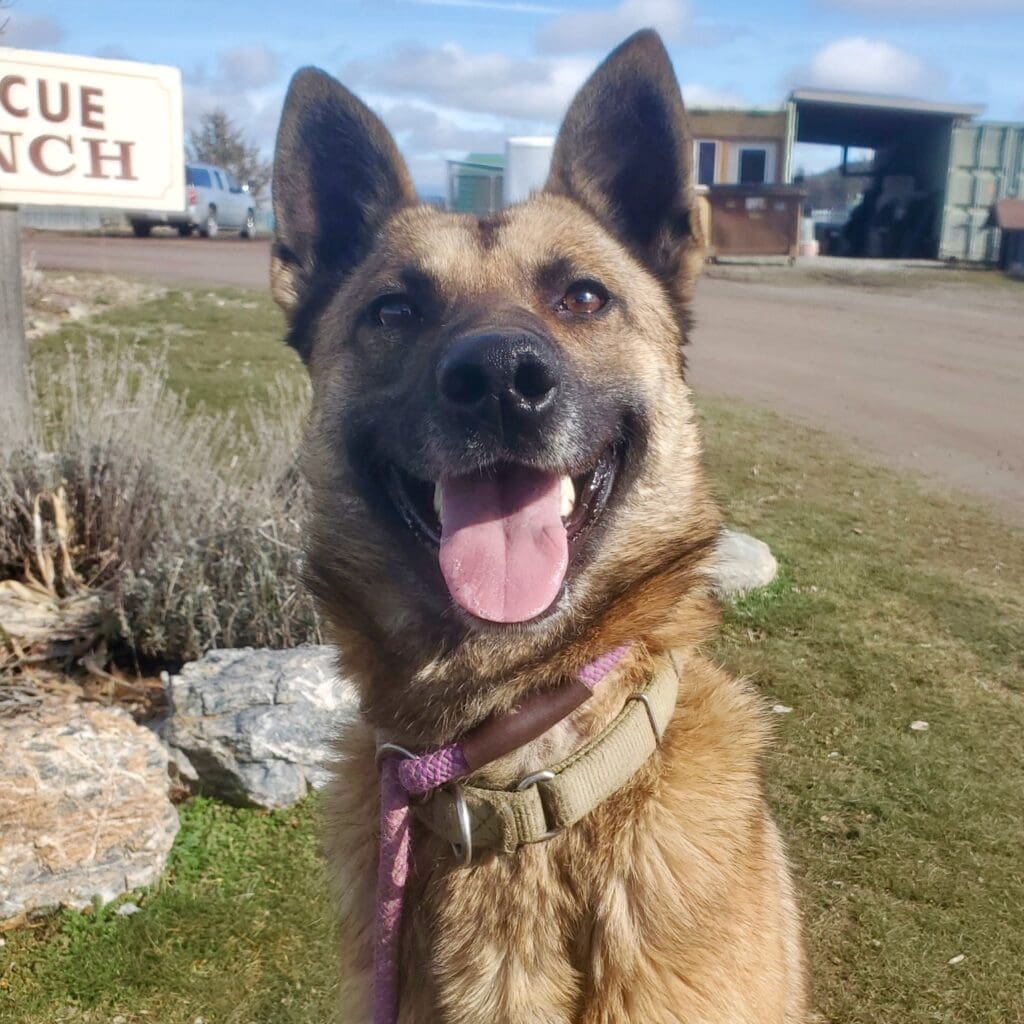 Dakota_shepherd_portrait