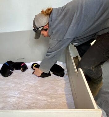 Crissy_pups_whelping_box