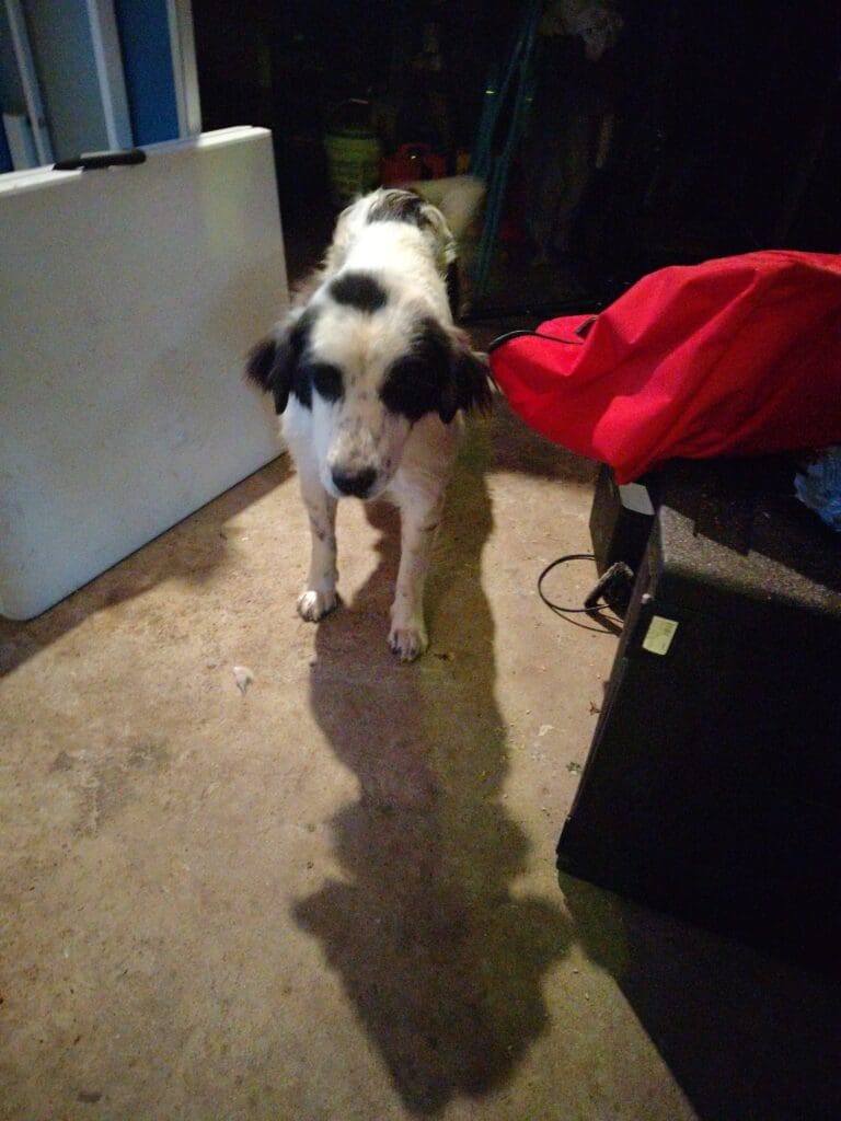 17465880840296488056919797689046