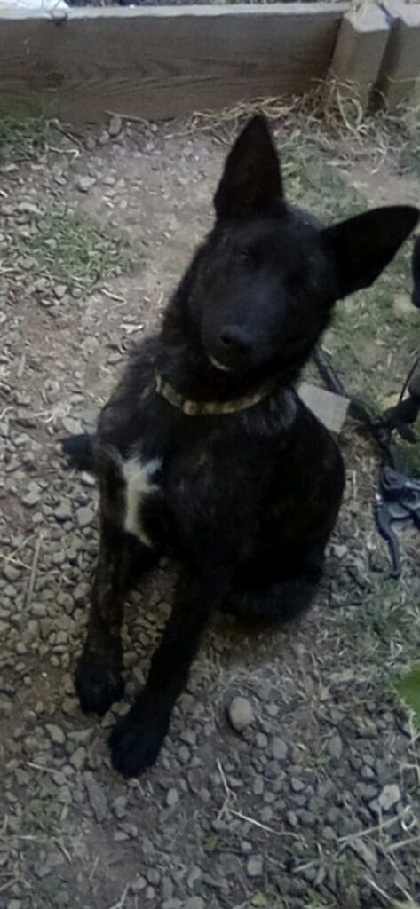 Screenshot_20250522_074059_Messages