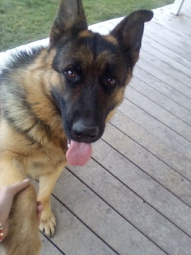 1750736207707_1750736136031_.temp0_