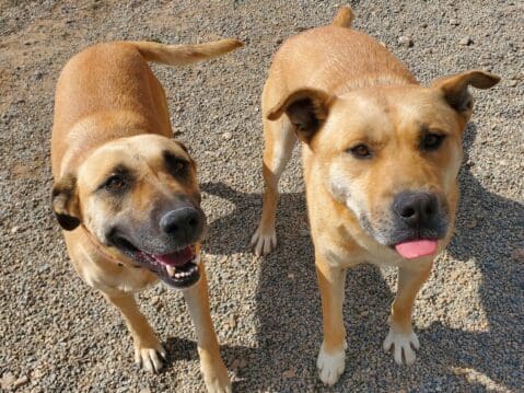 Red_Red_with_Miss_Kay