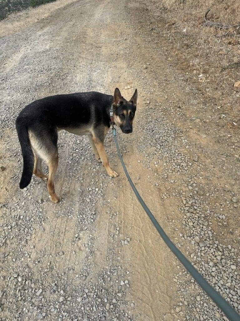 9E9FFCAE-BF5B-436C-B063-C89AB3ED9864